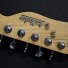 T-Caster Jazz head