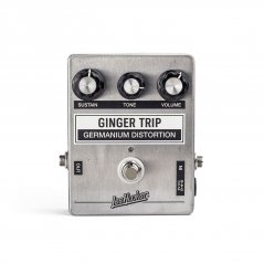 Ginger Trip